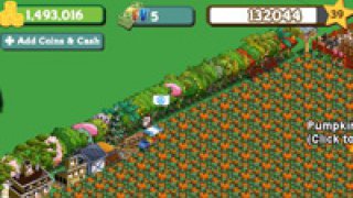 Farmville-Farm-Cash